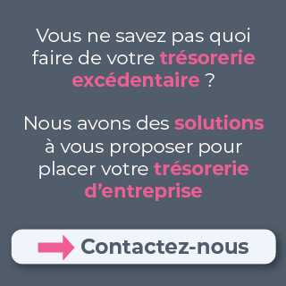 Placement De Tresorerie D Entreprise Comment Faire