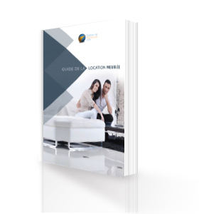 jaquette guide succession 3