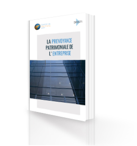 jaquette guide succession 3