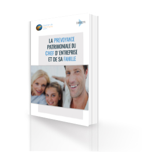 jaquette guide succession 3