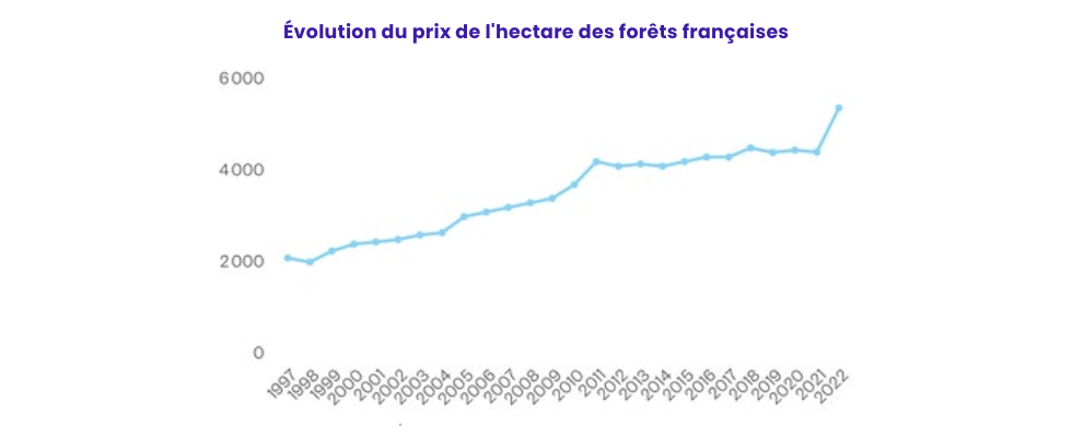 GFI évolution prix hectare foret